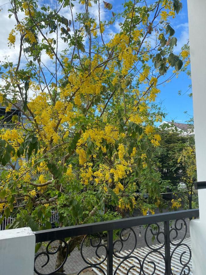 Aurora Homestay Κουάνγκ Νγκάι Εξωτερικό φωτογραφία